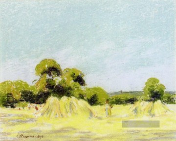 Studie für die Ernte in Montfoucault 1879 Camille Pissarro Ölgemälde